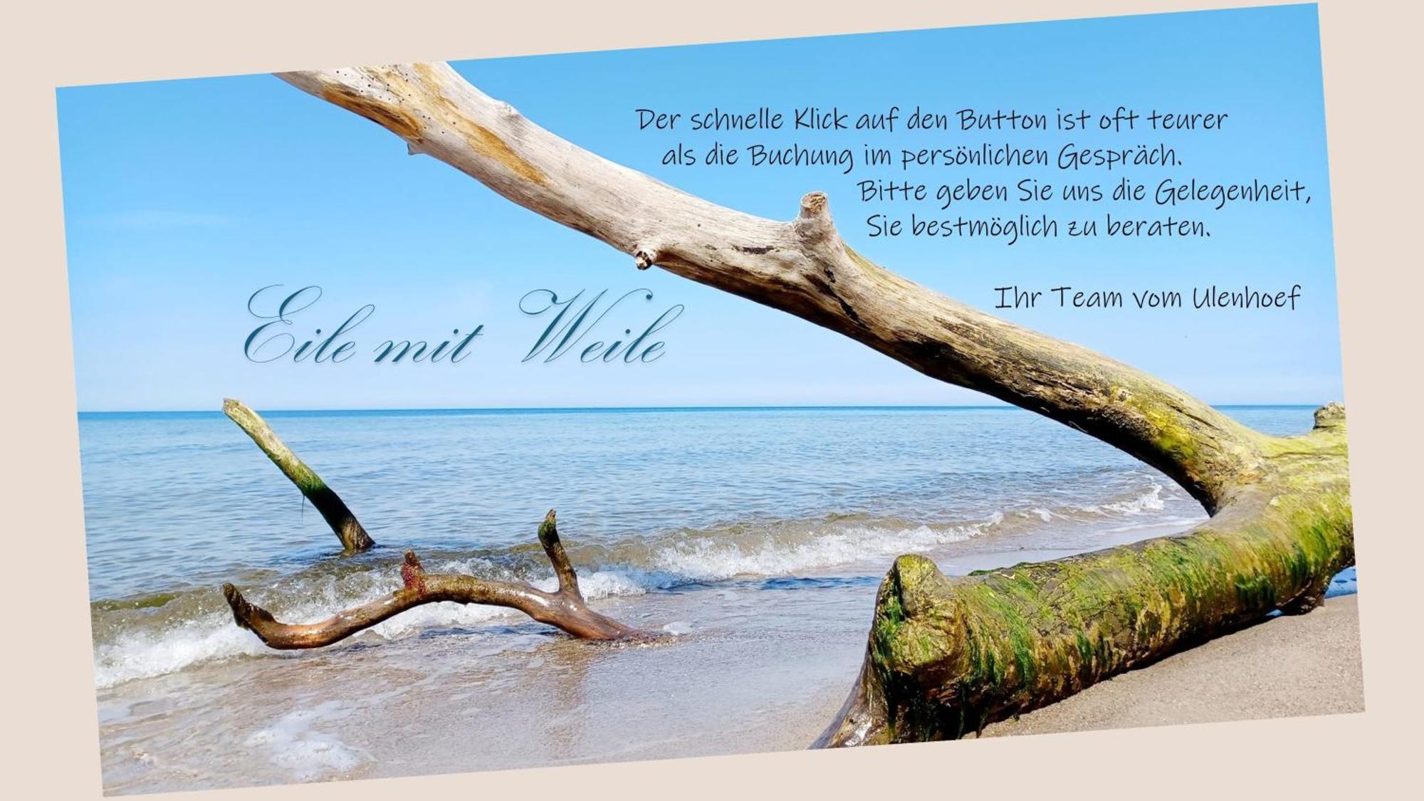 Fewo Weide - Ulenhoef Prerow Kültér fotó
